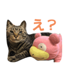 【猫】天とほののスタンプ 拡大版（個別スタンプ：19）