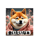 男らしい柴犬シリーズ2（個別スタンプ：6）