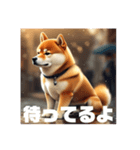 男らしい柴犬シリーズ2（個別スタンプ：8）