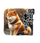 男らしい柴犬シリーズ2（個別スタンプ：10）