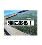 釣り好き初心者はるきち。（個別スタンプ：37）