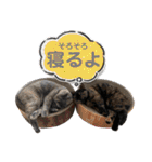 フクノア日和（個別スタンプ：2）