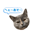 フクノア日和（個別スタンプ：7）