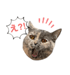 フクノア日和（個別スタンプ：8）