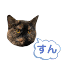 フクノア日和（個別スタンプ：11）