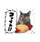 フクノア日和（個別スタンプ：18）