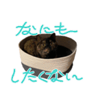 フクノア日和（個別スタンプ：20）