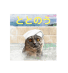 フクノア日和（個別スタンプ：31）