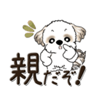 シーズー犬【親】（個別スタンプ：1）