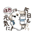 シーズー犬【親】（個別スタンプ：3）