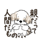 シーズー犬【親】（個別スタンプ：5）