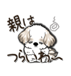 シーズー犬【親】（個別スタンプ：6）