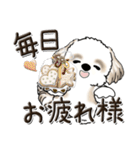 シーズー犬【親】（個別スタンプ：7）