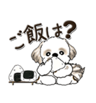 シーズー犬【親】（個別スタンプ：8）