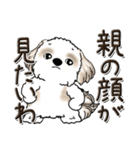 シーズー犬【親】（個別スタンプ：9）