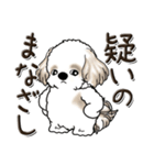 シーズー犬【親】（個別スタンプ：17）