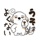 シーズー犬【親】（個別スタンプ：18）