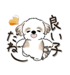 シーズー犬【親】（個別スタンプ：19）