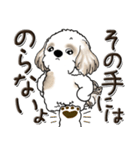 シーズー犬【親】（個別スタンプ：21）