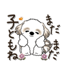 シーズー犬【親】（個別スタンプ：23）