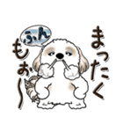 シーズー犬【親】（個別スタンプ：25）