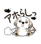 シーズー犬【親】（個別スタンプ：26）