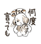 シーズー犬【親】（個別スタンプ：29）