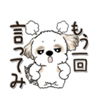 シーズー犬【親】（個別スタンプ：30）