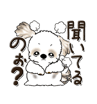 シーズー犬【親】（個別スタンプ：33）