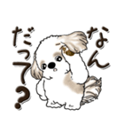 シーズー犬【親】（個別スタンプ：35）