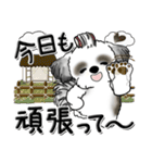 シーズー犬【親】Black ＆ White（個別スタンプ：4）