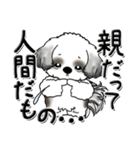 シーズー犬【親】Black ＆ White（個別スタンプ：5）