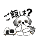 シーズー犬【親】Black ＆ White（個別スタンプ：8）