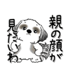 シーズー犬【親】Black ＆ White（個別スタンプ：9）