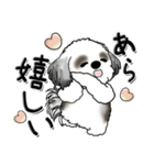 シーズー犬【親】Black ＆ White（個別スタンプ：12）