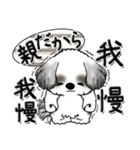 シーズー犬【親】Black ＆ White（個別スタンプ：13）