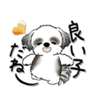 シーズー犬【親】Black ＆ White（個別スタンプ：19）