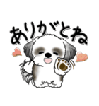 シーズー犬【親】Black ＆ White（個別スタンプ：20）