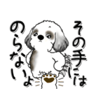 シーズー犬【親】Black ＆ White（個別スタンプ：21）