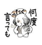 シーズー犬【親】Black ＆ White（個別スタンプ：29）