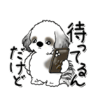 シーズー犬【親】Black ＆ White（個別スタンプ：32）