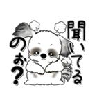 シーズー犬【親】Black ＆ White（個別スタンプ：33）