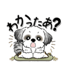 シーズー犬【親】Black ＆ White（個別スタンプ：34）