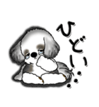 シーズー犬【親】Black ＆ White（個別スタンプ：38）