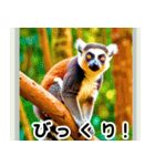 世界の動物図鑑 2:日本語（個別スタンプ：7）