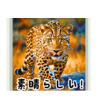 世界の動物図鑑 2:日本語（個別スタンプ：9）