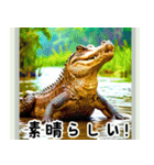 世界の動物図鑑 2:日本語（個別スタンプ：11）