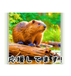 世界の動物図鑑 2:日本語（個別スタンプ：17）