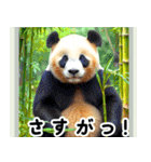 世界の動物図鑑:日本語（個別スタンプ：1）