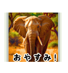 世界の動物図鑑:日本語（個別スタンプ：5）